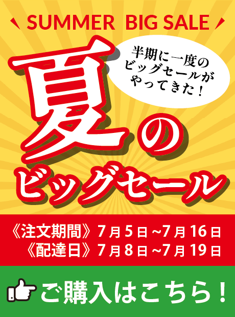 夏のビッグセール開催"