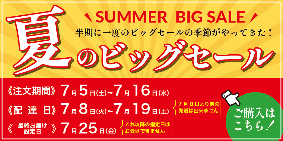 夏のビッグセール開催