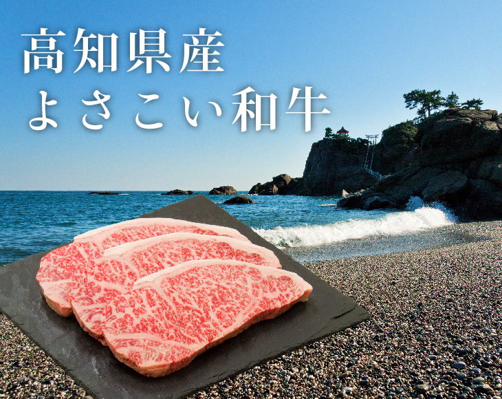 高知県産 よさこい和牛